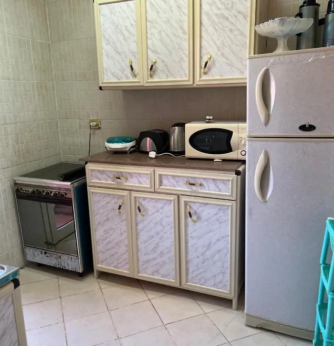 Glamorous And Newly Renovated Apartments-1