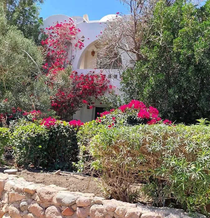 One-Bedroom Apartment In Domina Coral Bay Harem-1