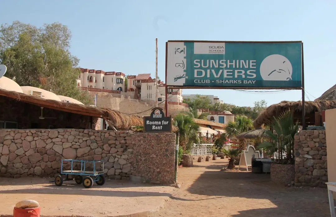Sunshine Divers - Suite 15-1