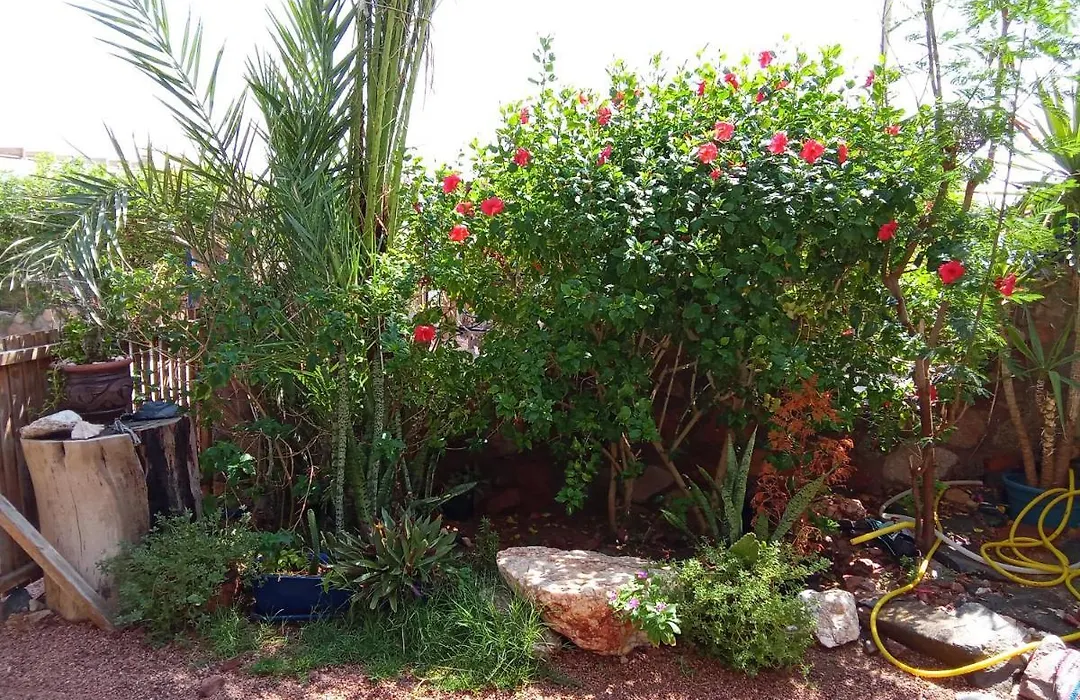 El - Garden Hotel-1