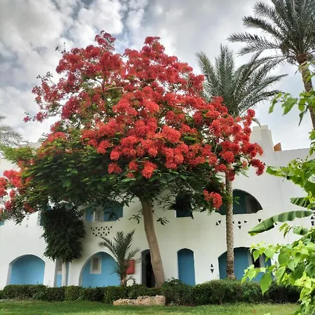 One Bedroom Apartment In Coral Bay Roby-2