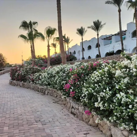One Bedroom Apartment In Coral Bay Roby-3