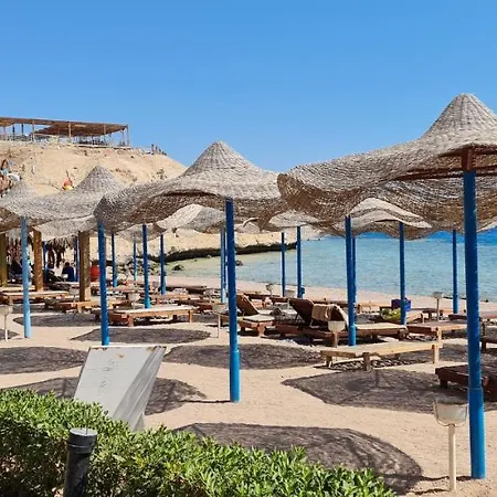 Sharks Bay Oasis Soft Only Hotel & Diving Center-2