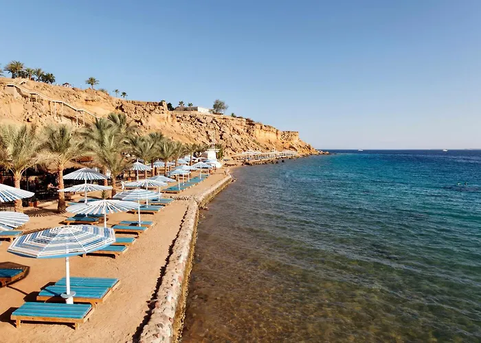 Albatros Sharm Resort - By Pickalbatros